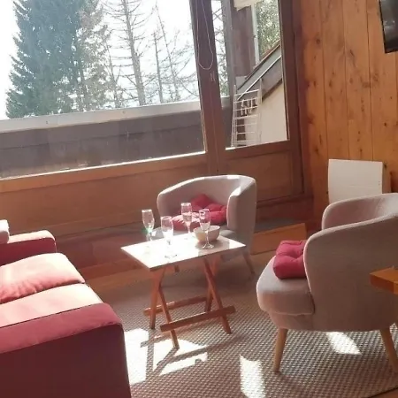Skis Aux Pieds Des Pistes Des Grands Montets 164 * 샤모니