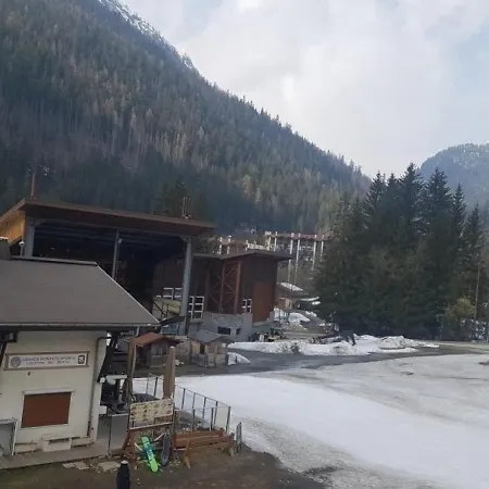 Skis Aux Pieds Des Pistes Des Grands Montets 164 * 샤모니